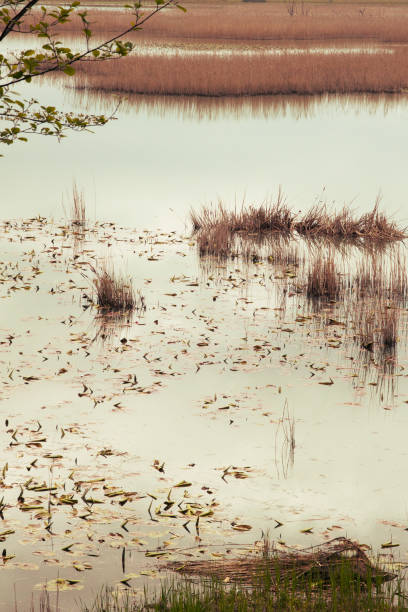 istock Reflections on the autumnal tranquil lake 939307576