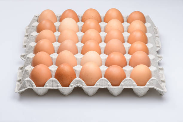 cardboard egg Cup of brown eggs, isolated on white background with space for text