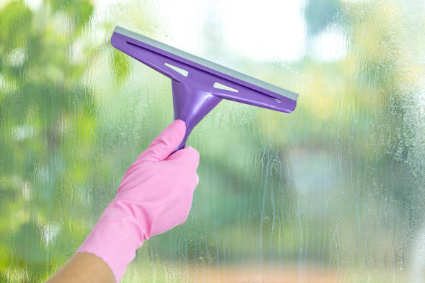 Hand cleaning window with vacuum cleaner