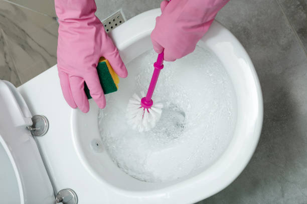 Cleaning now Cleaning now toilet brush stock pictures, royalty-free photos & images