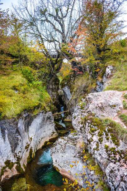 istock Small River between stones Trnovo Bosnia 939318274