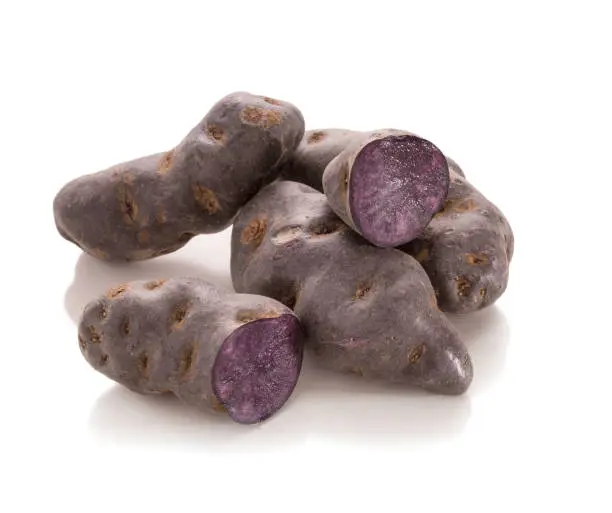 Vitelotte, purple potato in piles on white background