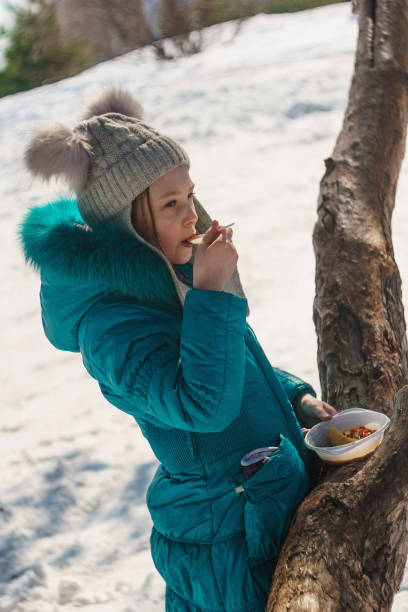 istock snack on the nature in the winter forest 939329310