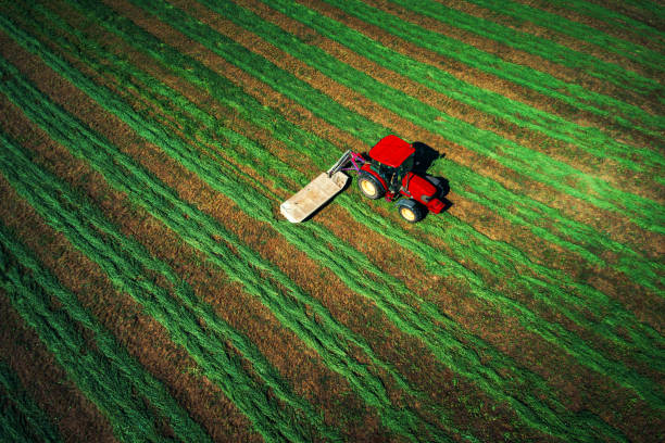 istock Tractor mowing green field, aerial view 939330096