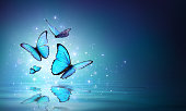 Magic Butterflies On Water