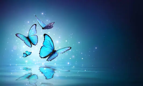 Morpho Butterflies On Mystical Water