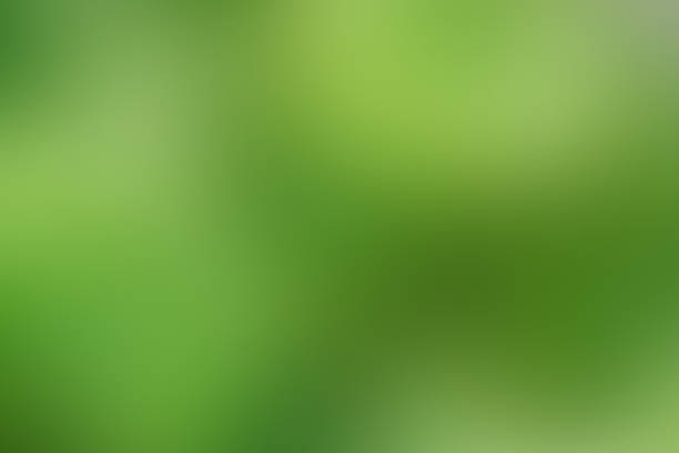 istock Gradient abstract background green, grass, meadow, lawn, field, backyard with copy space 939337956