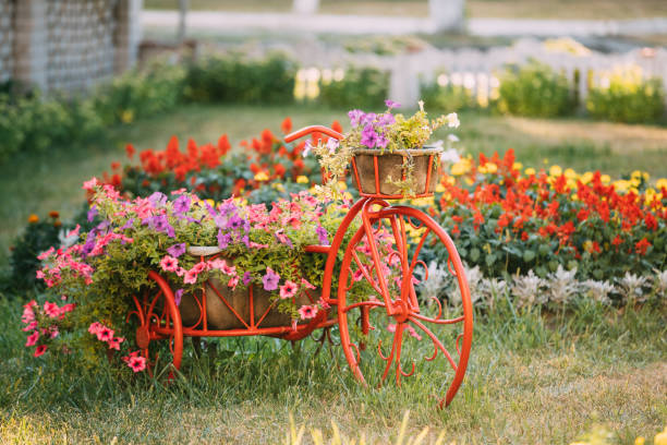 istock Decorative Vintage Model Old Bicycle Equipped Basket Flowers Garden 939338104