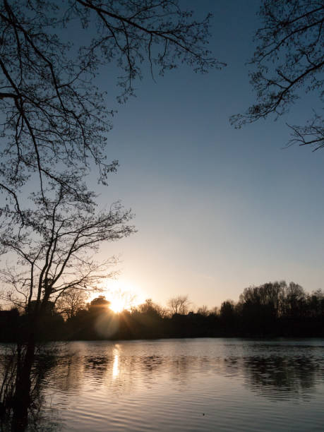 istock lake surface outside sunset nature landscape background 939341962