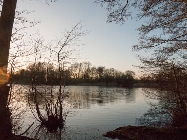 istock lake surface outside sunset nature landscape background 939341996