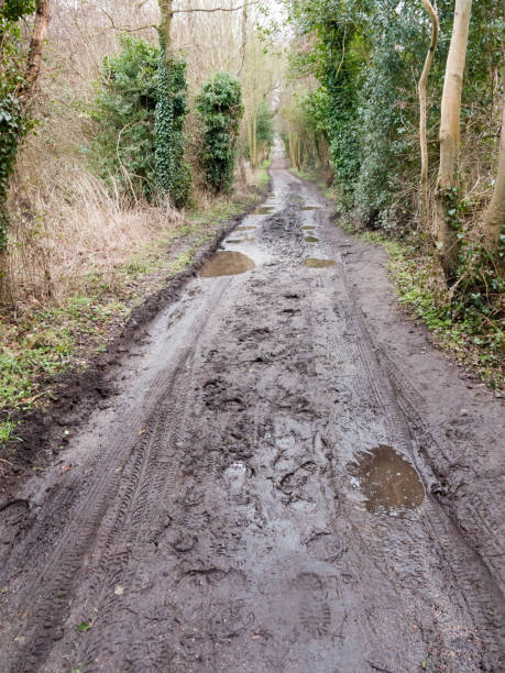 istock muddy pathway road through countryside tracks puddles spring 939342306