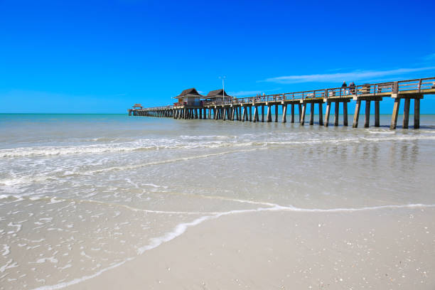 istock Beach Vacation Destination Naples Florida 939344892