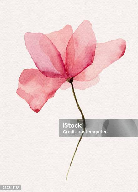 Watercolor Flower Stock Illustration - Download Image Now - Flower, Watercolor Painting, Computer Graphic