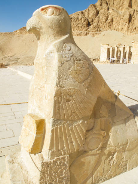 Hawk Statue at Mortuary Temple of Hatshepsut in Deir el-Bahari, Egypt Hawk statue at Mortuary Temple of Hatshepsut in Deir el-Bahari, Egypt. el bahari stock pictures, royalty-free photos & images