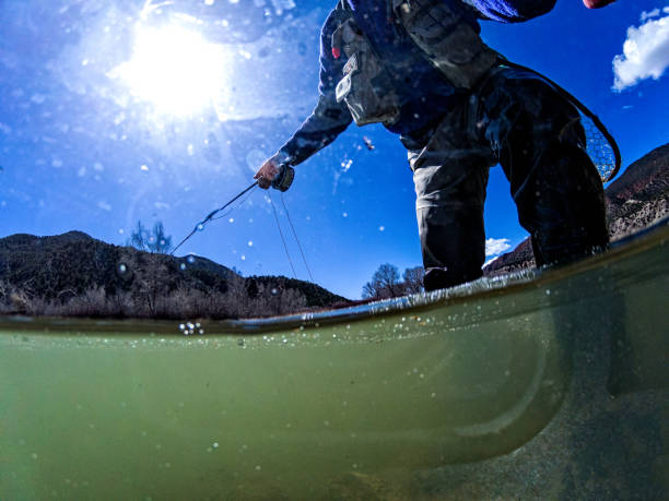 istock Fly Fishing Underwater Perspective 939345466