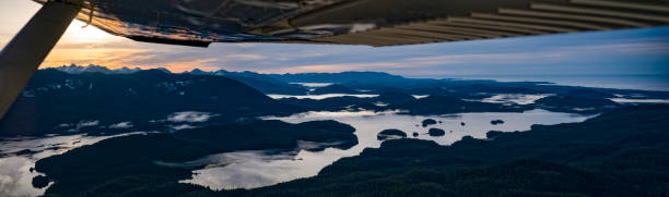 istock Flying in the morning 939348730