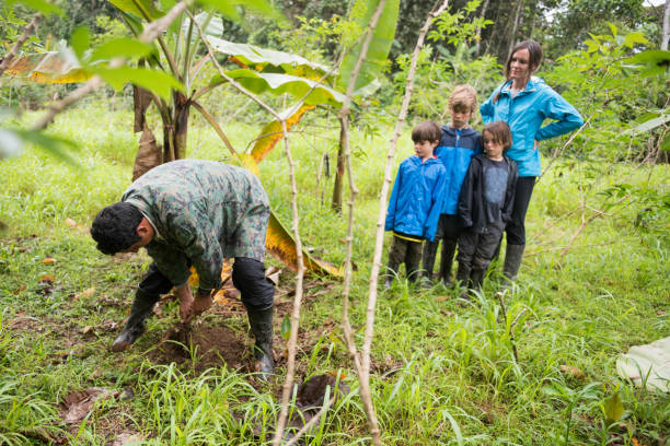 istock Family looks on as local Ecuadorian pulls up yucca root 939358178
