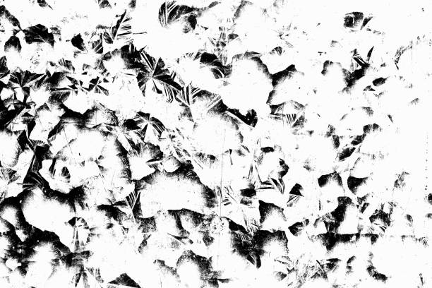 istock Black grunge texture. Place over any object create black dirty grunge effect. Distress grunge texture easy to use overlay. Distress floor black dirty old grain texture. Distress grain dirty background 939379874