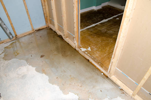 Water damage in basement caused by sewer backflow due to clogged sanitary drain stock photo