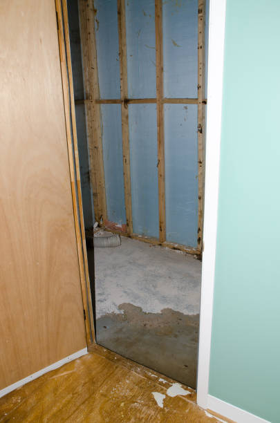 istock Water damage in basement caused by sewer backflow due to clogged sanitary drain 939383352