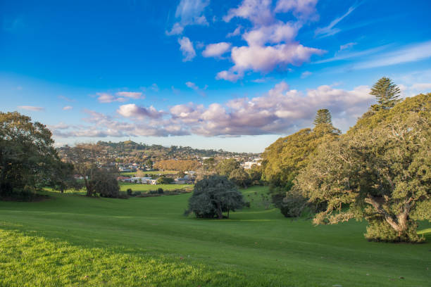 istock Park with green grass and trees lit by the evening sun under a blue cloudy sky 939388088