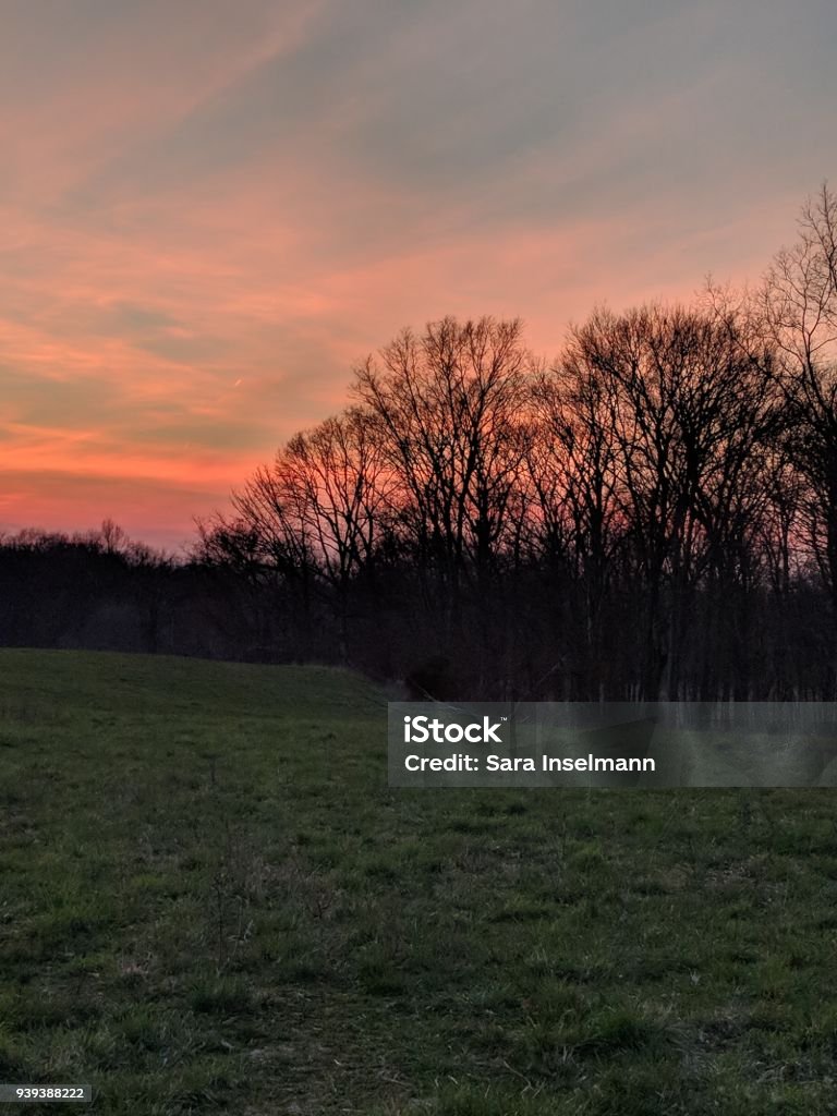 Soon Setting Sun Setting Sun 2 Stock Photo - Download Image Now - Agricultural Field ...