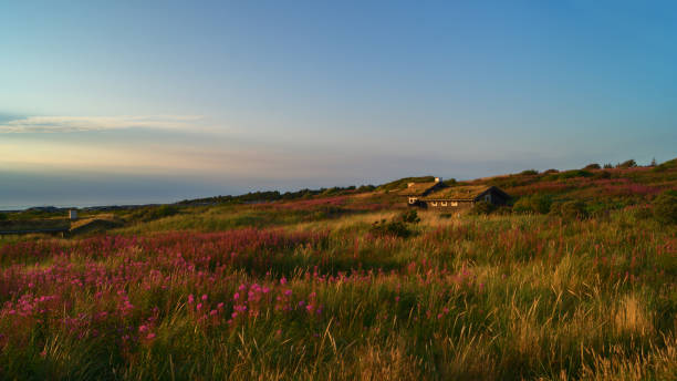 istock Landscape in the north of Denmark 939388848