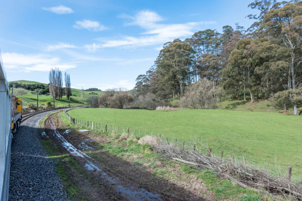 istock Train running along a fenced green meadow bordered by trees 939394568