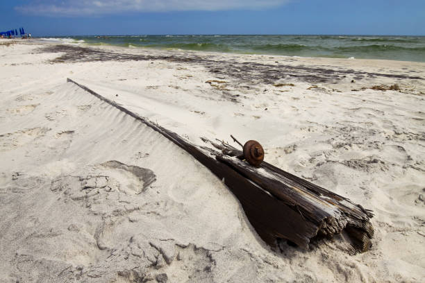 Taken this picture of the part of a shipwreck washed ashore on the Ship Island beach. The part is from hull of a century old shipwreck washed ashore on the virgin beach on West Ship Island off Gulfport. It has been anticipated that this piece of wreck washed ashore during hurricane Katrina. With this piece of metal people with expertise can tell the origin of ship and time.