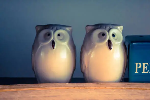 Owl figurine salt and pepper shakers with a teal and orange color grade.