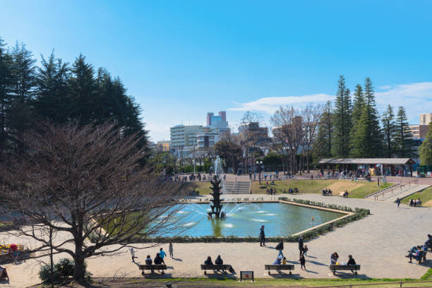 parque setagaya, en tokio, japón - distrito de setagaya fotografías e imágenes de stock