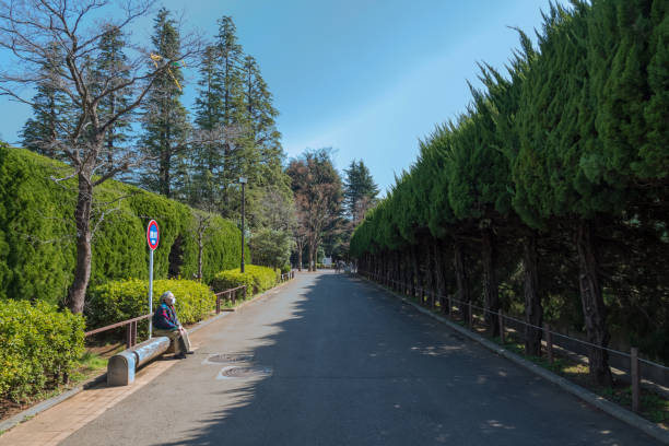 東京都の世田谷区公園。 - bench mountain park sitting ストックフォトと画像