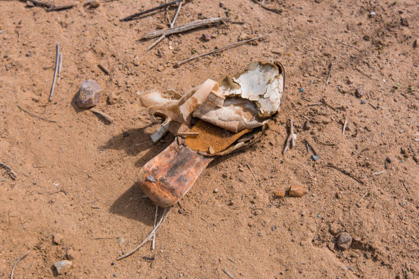 砂に埋もれている古いショー - round toe shoes ストックフォトと画像