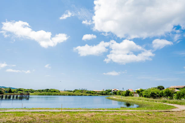 istock Small lagoon with a wooden bridge. 939447206