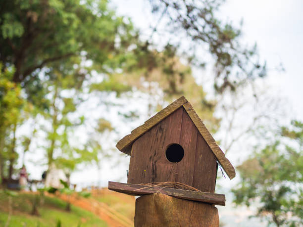 istock Bird house man made in the park 939447322