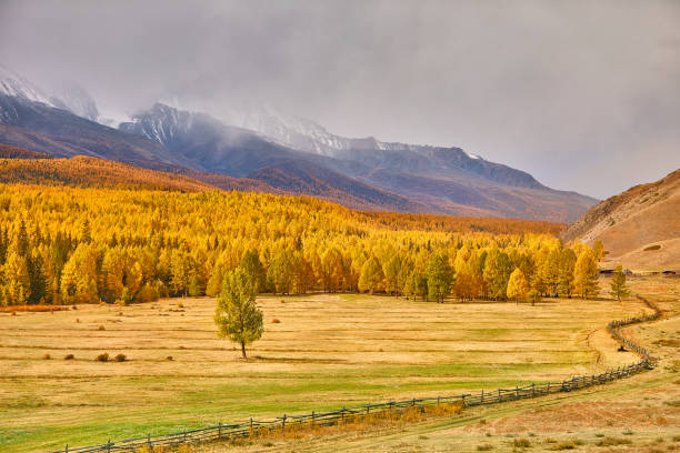 istock Colorful autumn landscape 939454378