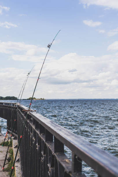 istock Several fishing rods leaning on fence on pier 939454398