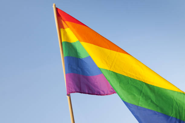 istock Gay pride flag flying 939458344