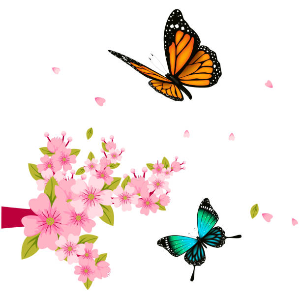 蝶とピンクの花の白い背景ベクトル画像 - magnolia pink flower isolated点のイラスト素材／クリップアート素材／マンガ素材／アイコン素材