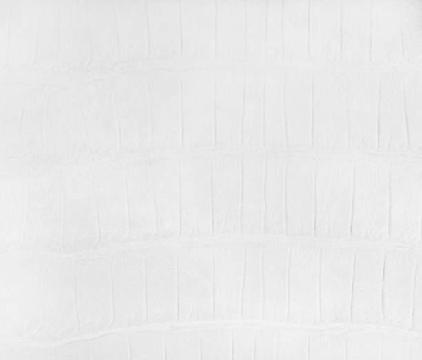 istock White faux alligator leather 939461368