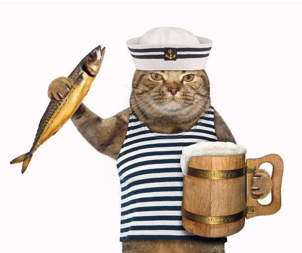 istock Cat sailor with a mug of beer 939468804