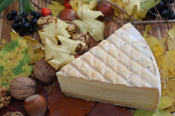 istock Cheese from France 