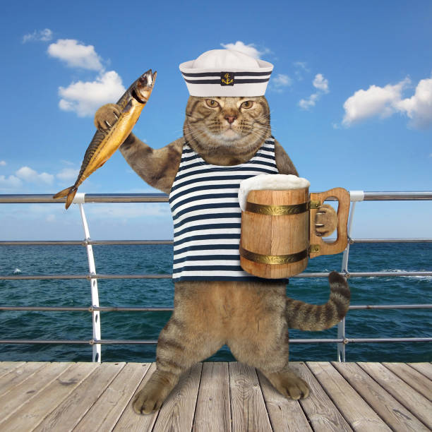 istock Cat sailor with beer on a quay 939468888