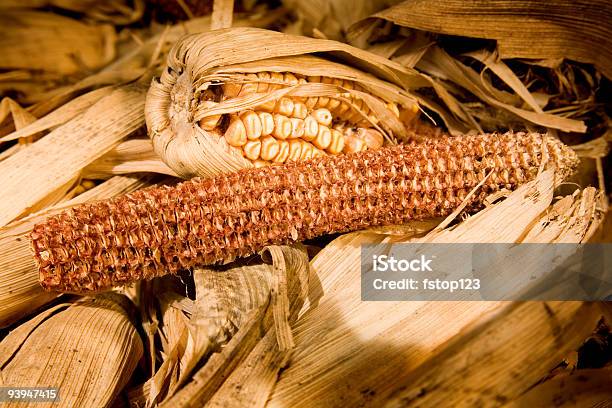 Foto de Bolinhos De Milho e mais fotos de stock de Agricultura - Agricultura, Apodrecer, Bege