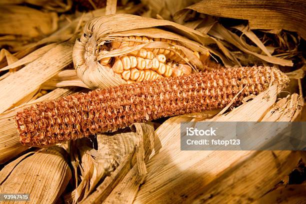 Сушеные Кукурузы — стоковые фотографии и другие картинки Бежевый - Бежевый, Без людей, Большая группа объектов