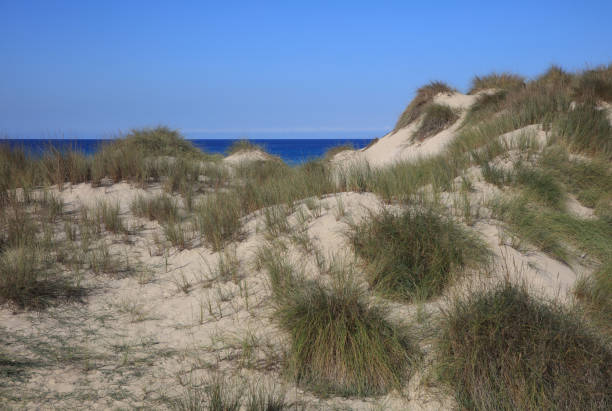 istock Bay in Northern Majorca. Spain. Europe 939480010
