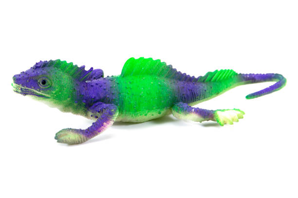 Iguana toy isolated on white background