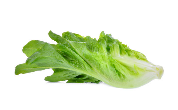 istock fresh baby cos, green lettuce isolated on white background 939484604
