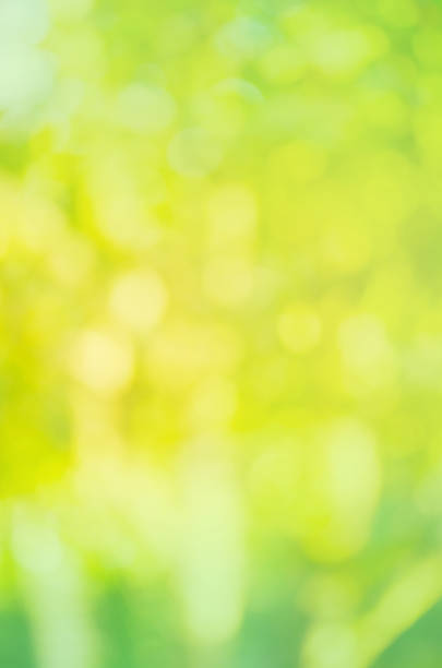 istock Abstract green bokeh background 939485858