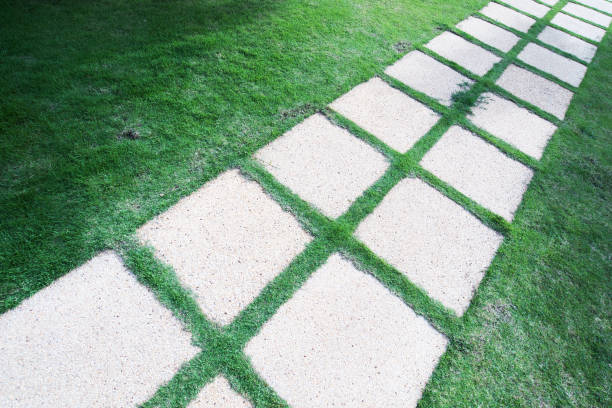 istock Stepping stones on the grass lawn 939493710